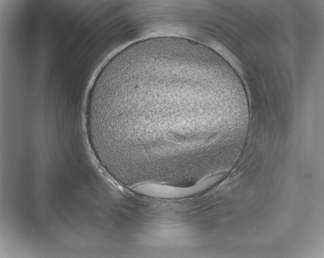 X0000073411104200608111318