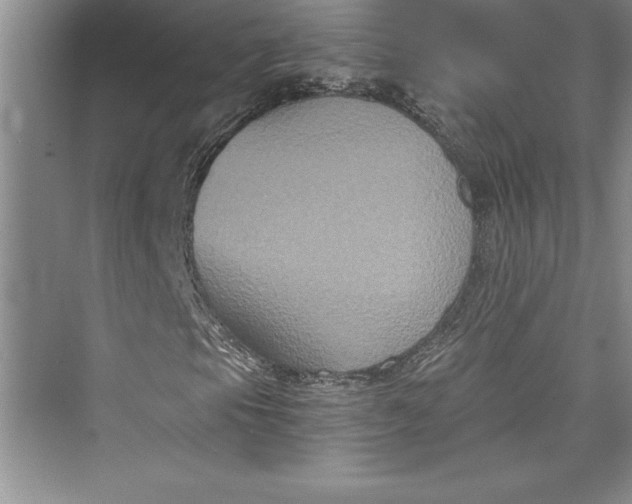 X0000073411105200608111317