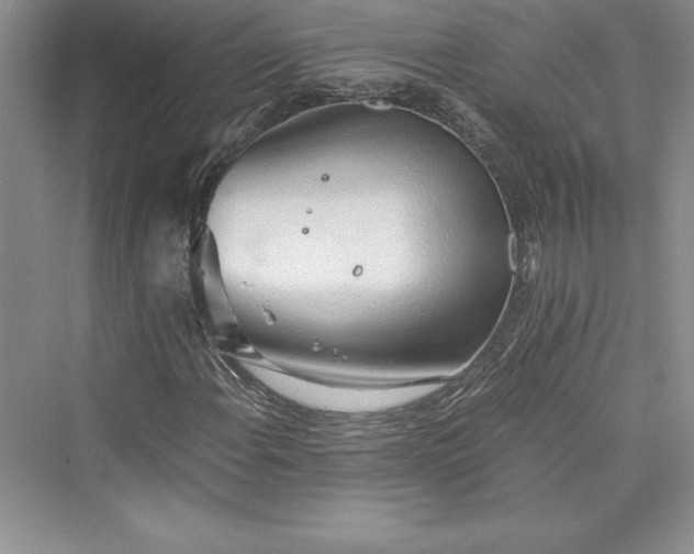 X0000073411108200608111318