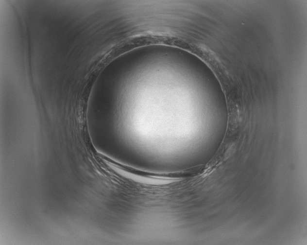 X0000073411110200608111318