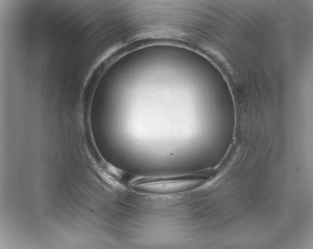 X0000073411114200608111318