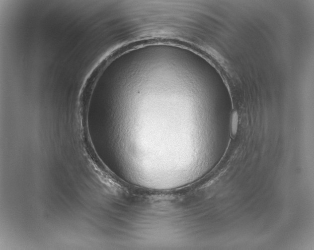 X0000073411118200608111318