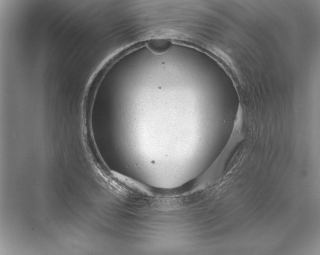 X0000073411120200608111318