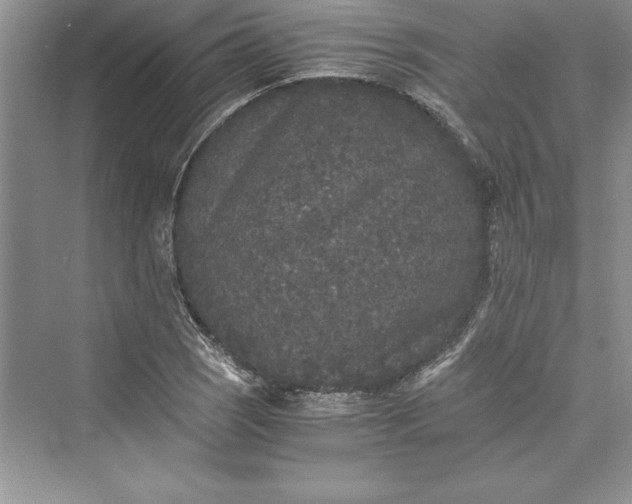 X0000073411121200608111318