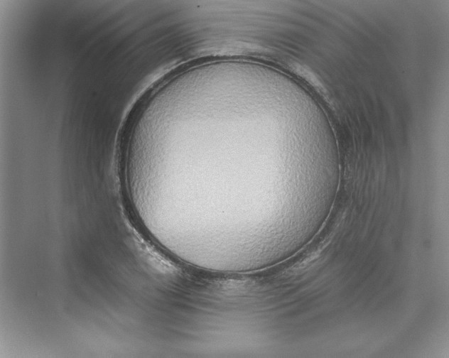 X0000073411122200608111318