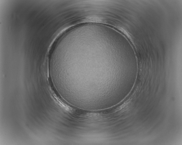 X0000073411123200608111318