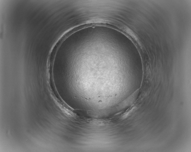 X0000073411124200608111318