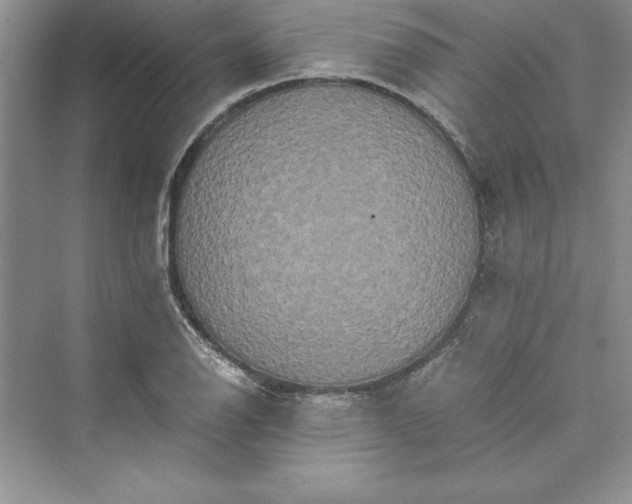 X0000073411126200608111318