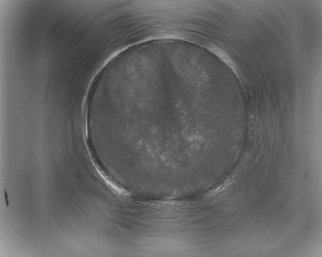 X0000073411127200608111318