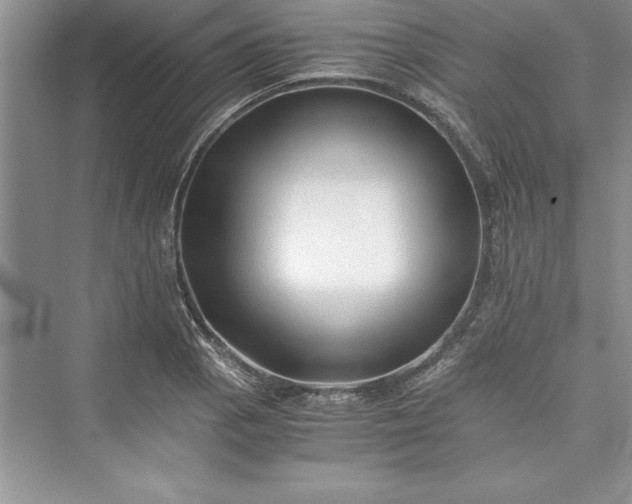 X0000073411129200608111318