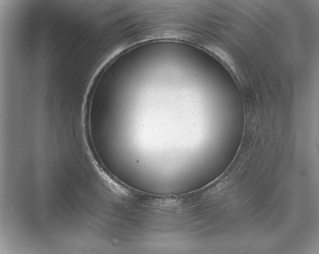 X0000073411135200608111318