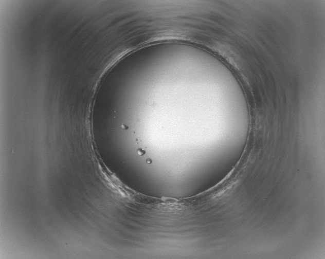 X0000073411137200608111318