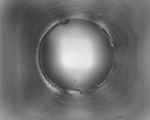 X0000073411139200608111318