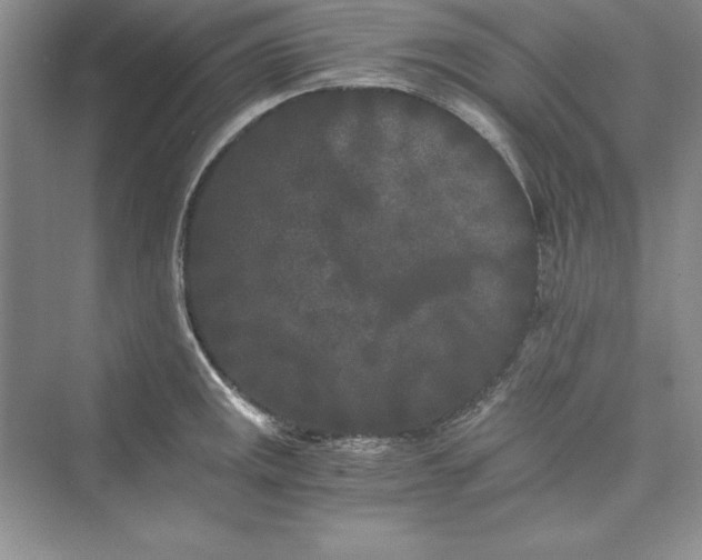 X0000073411141200608111318