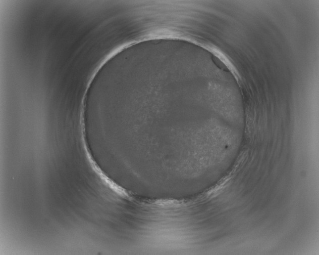 X0000073411142200608111318