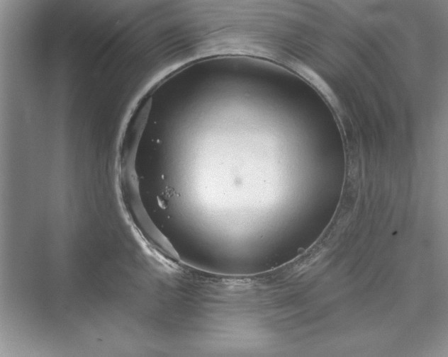 X0000073411144200608111318