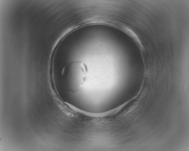 X0000073411146200608111318