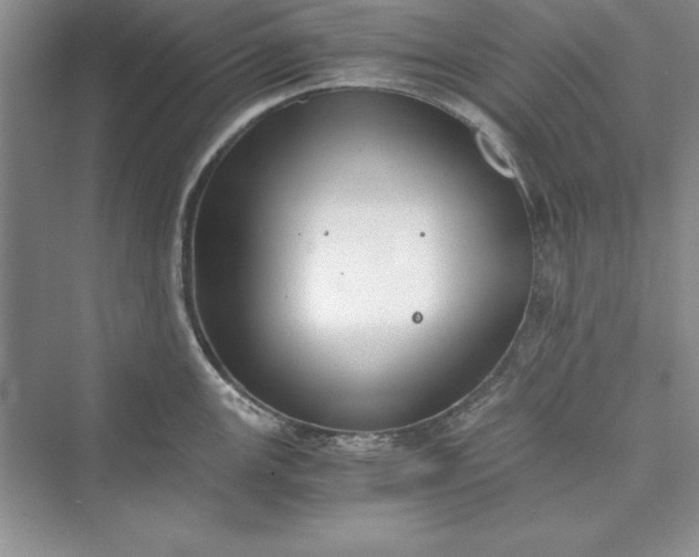 X0000073411147200608111318