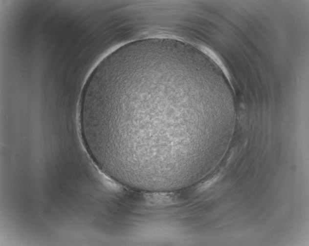 X0000073411149200608111318