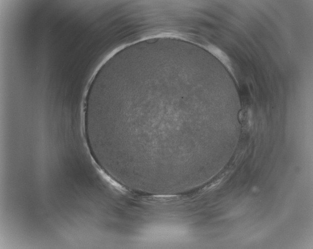 X0000073411151200608111318