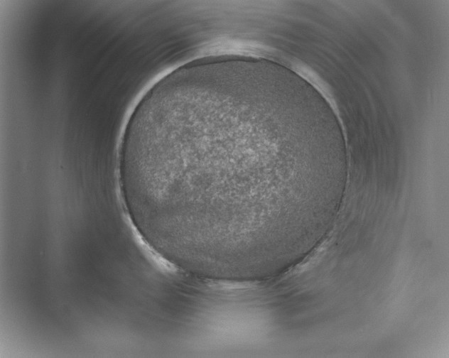 X0000073411152200608111318