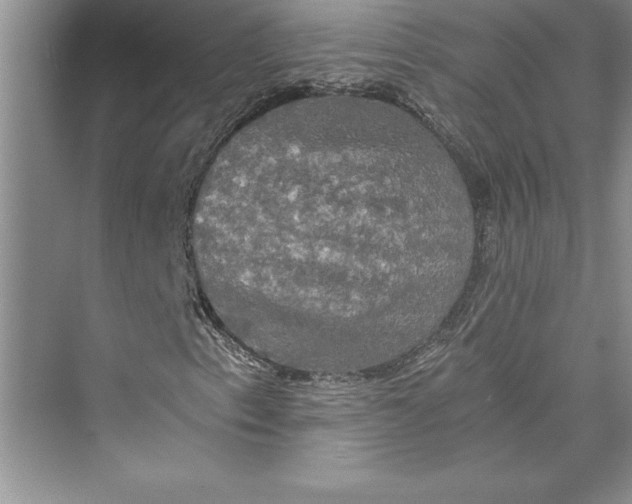 X0000073411153200608111317