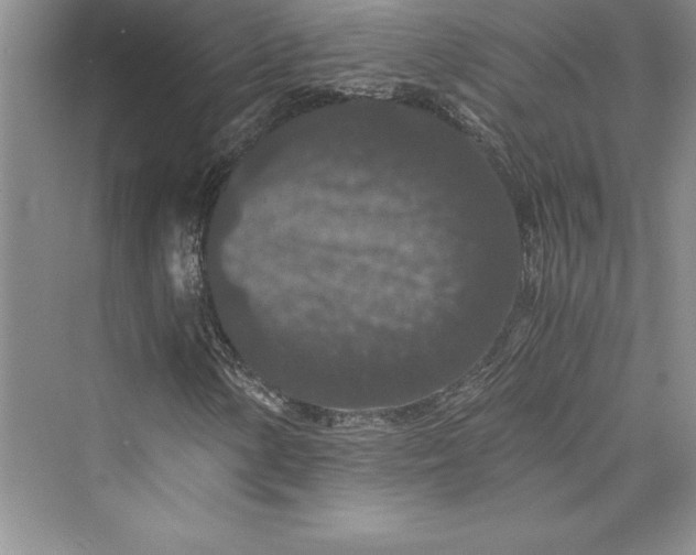 X0000073411154200608111317