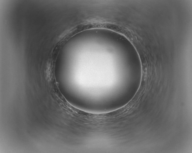 X0000073411157200608111317