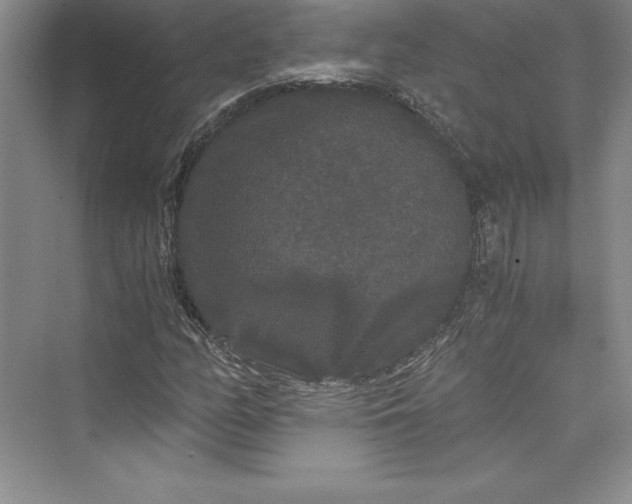 X0000073411158200608111317