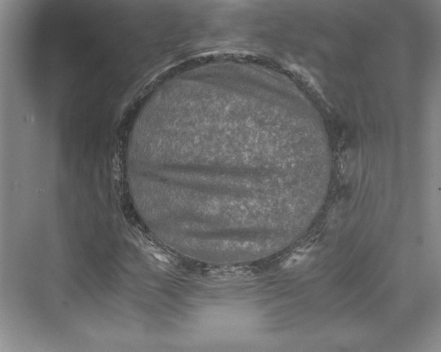 X0000073411159200608111317