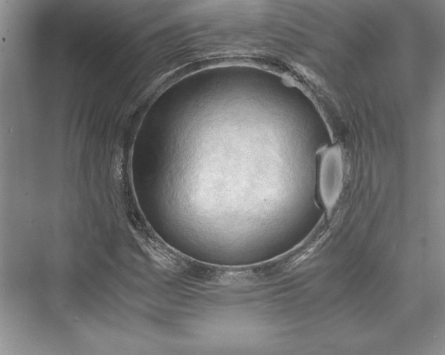 X0000073411161200608111317