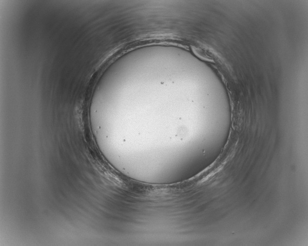 X0000073411162200608111317