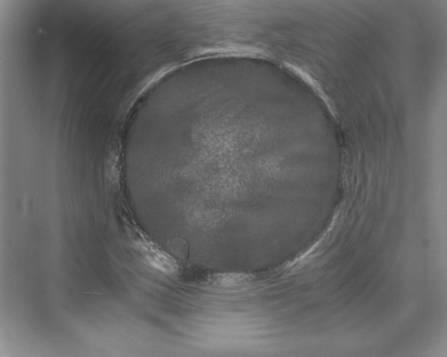 X0000073411163200608111317