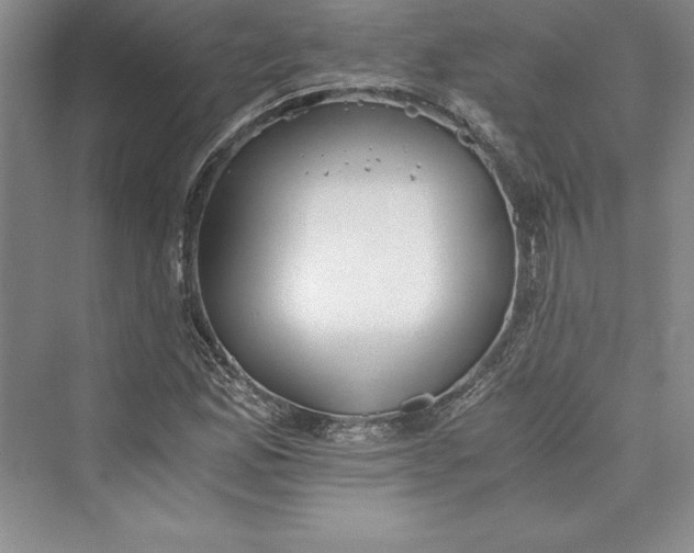 X0000073411165200608111317