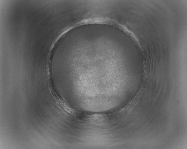 X0000073411166200608111317