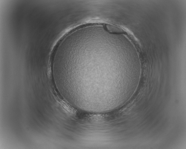 X0000073411167200608111317