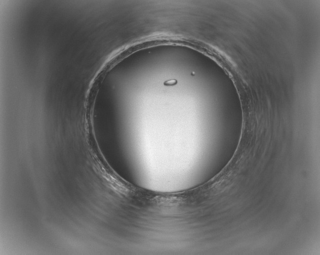 X0000073411168200608111317