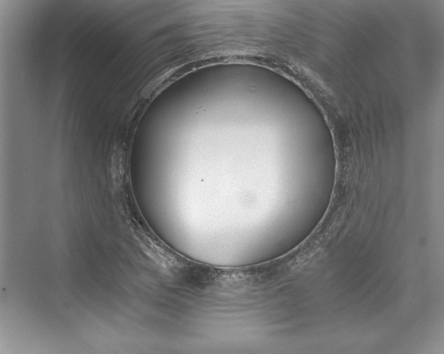 X0000073411169200608111317