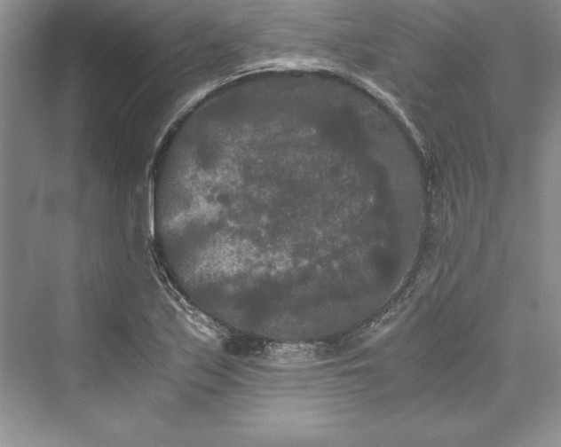 X0000073411171200608111317