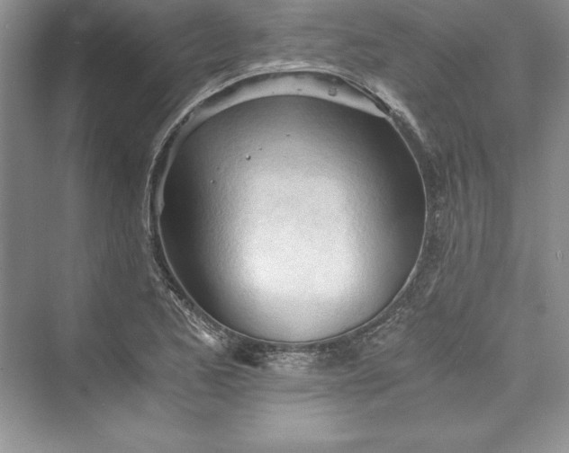 X0000073411173200608111317