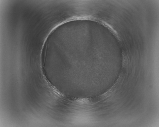 X0000073411174200608111317