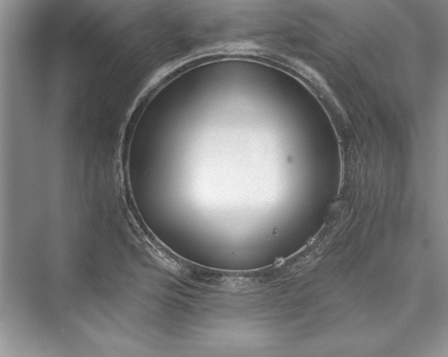 X0000073411176200608111317