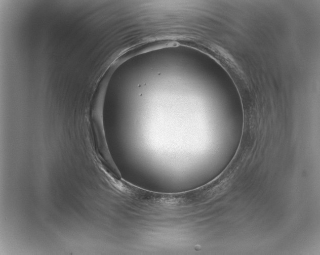 X0000073411177200608111317