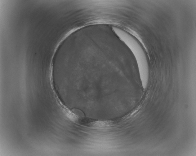 X0000073411179200608111317