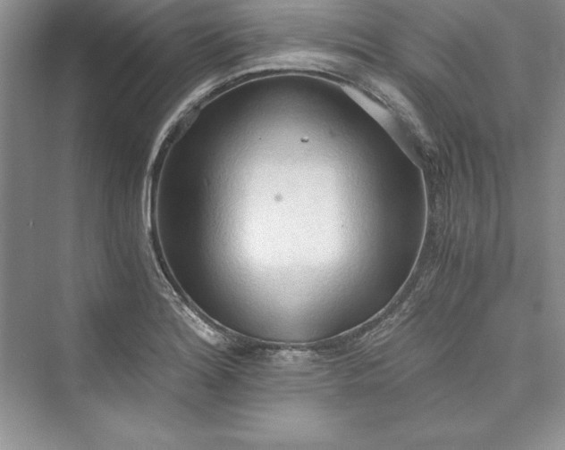 X0000073411180200608111317