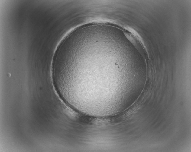 X0000073411183200608111317