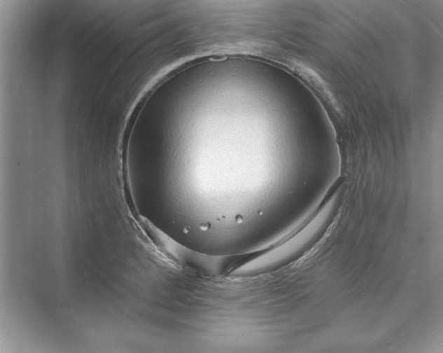 X0000073411184200608111317