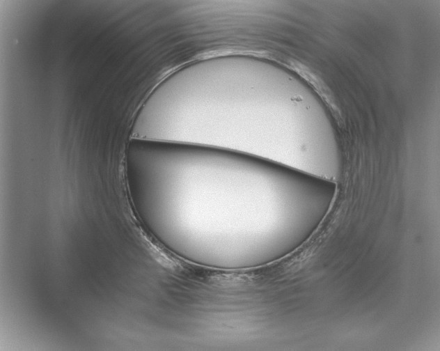 X0000073411185200608111317