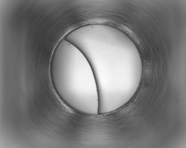 X0000073411186200608111317