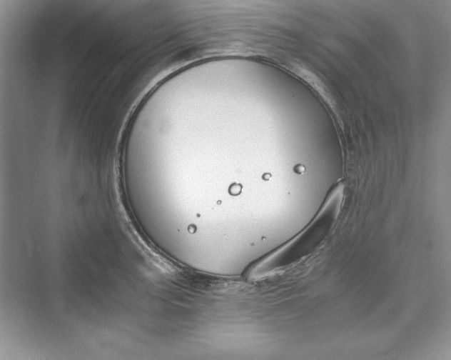 X0000073411187200608111317